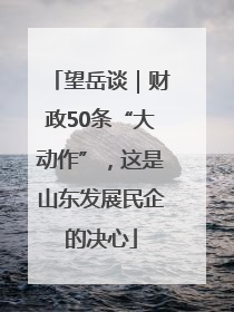 望岳谈｜财政50条“大动作”，这是山东发展民企的决心