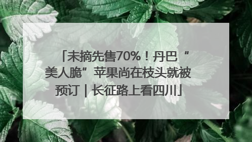 未摘先售70%！丹巴“美人脆”苹果尚在枝头就被预订｜长征路上看四川