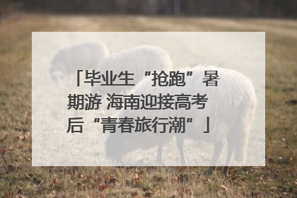 毕业生“抢跑”暑期游 海南迎接高考后“青春旅行潮”