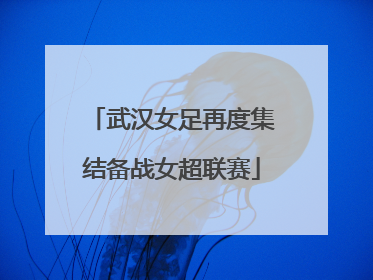 武汉女足再度集结备战女超联赛
