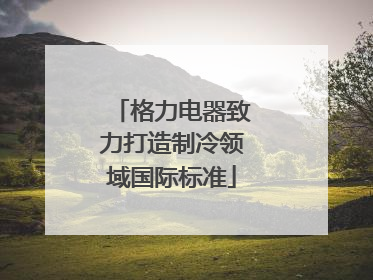 格力电器致力打造制冷领域国际标准
