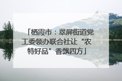 栖霞市：翠屏街道党工委领办联合社让“农特好品”香飘四方