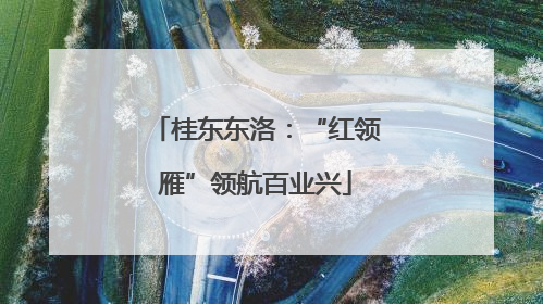 桂东东洛：“红领雁”领航百业兴