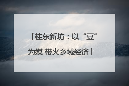 桂东新坊：以“豆”为媒 带火乡域经济