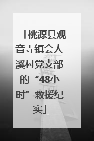 桃源县观音寺镇会人溪村党支部的“48小时”救援纪实
