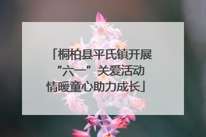桐柏县平氏镇开展“六一”关爱活动 情暖童心助力成长