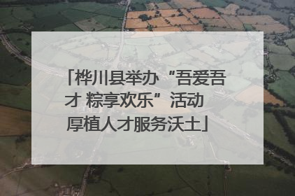 桦川县举办“吾爱吾才 粽享欢乐”活动 厚植人才服务沃土
