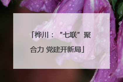 桦川：“七联”聚合力 党建开新局