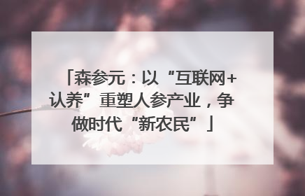 森参元：以“互联网+认养”重塑人参产业，争做时代“新农民”