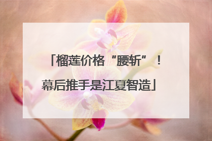 榴莲价格“腰斩”！幕后推手是江夏智造