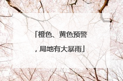 橙色、黄色预警，局地有大暴雨