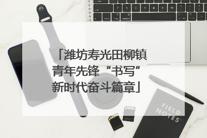 潍坊寿光田柳镇青年先锋“书写”新时代奋斗篇章