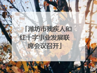 潍坊市残疾人和红十字事业发展联席会议召开