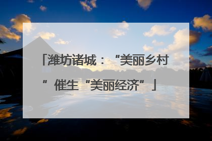 潍坊诸城：“美丽乡村”催生“美丽经济”