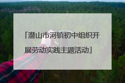 潜山市河镇初中组织开展劳动实践主题活动