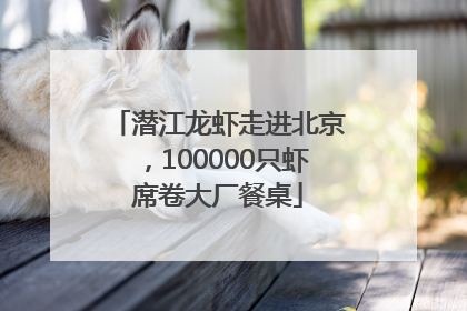 潜江龙虾走进北京，100000只虾席卷大厂餐桌