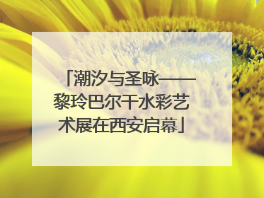 潮汐与圣咏——黎玲巴尔干水彩艺术展在西安启幕