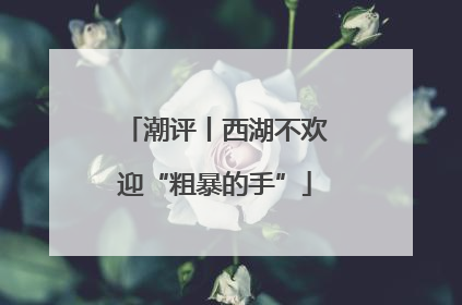 潮评丨西湖不欢迎“粗暴的手”
