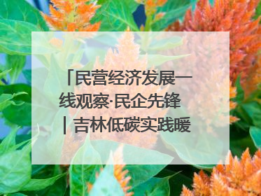民营经济发展一线观察·民企先锋｜吉林低碳实践暖民心：太阳能供暖技术为北方清洁取暖破局