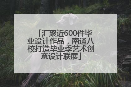 汇聚近600件毕业设计作品，南通八校打造毕业季艺术创意设计联展