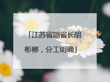 江苏省副省长胡彬郴，分工明确