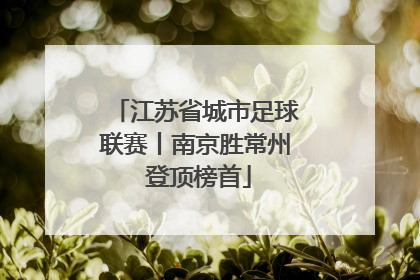 江苏省城市足球联赛丨南京胜常州 登顶榜首