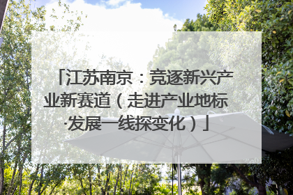 江苏南京：竞逐新兴产业新赛道（走进产业地标·发展一线探变化）