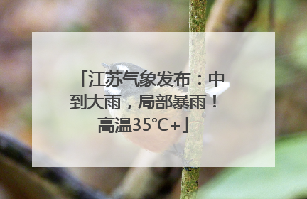 江苏气象发布：中到大雨，局部暴雨！高温35℃+