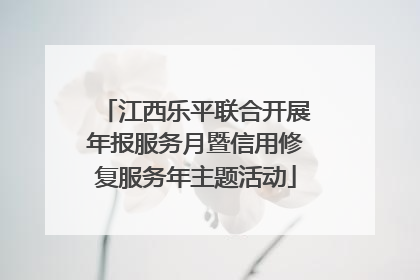 江西乐平联合开展年报服务月暨信用修复服务年主题活动