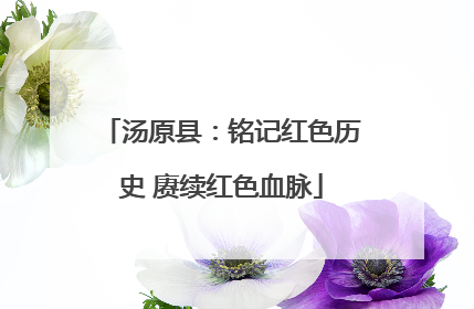 汤原县：铭记红色历史 赓续红色血脉