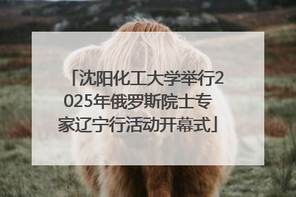 沈阳化工大学举行2025年俄罗斯院士专家辽宁行活动开幕式