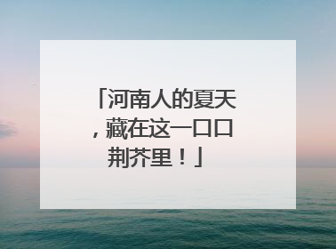 河南人的夏天，藏在这一口口荆芥里！