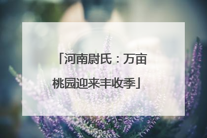 河南尉氏：万亩桃园迎来丰收季