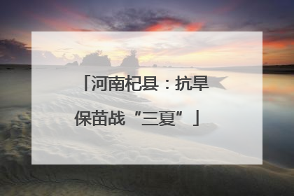 河南杞县：抗旱保苗战“三夏”