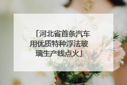 河北省首条汽车用优质特种浮法玻璃生产线点火