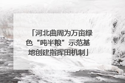 河北曲周为万亩绿色“吨半粮”示范基地创建指挥田机制