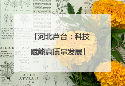 河北芦台：科技赋能高质量发展