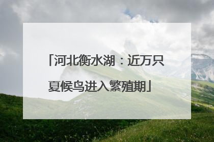 河北衡水湖：近万只夏候鸟进入繁殖期