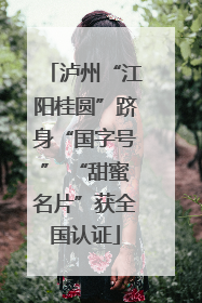 泸州“江阳桂圆”跻身“国字号” “甜蜜名片”获全国认证