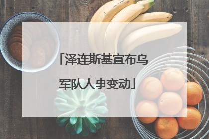 泽连斯基宣布乌军队人事变动