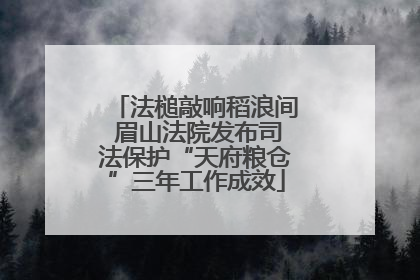 法槌敲响稻浪间 眉山法院发布司法保护“天府粮仓”三年工作成效