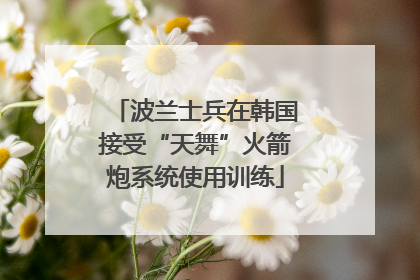 波兰士兵在韩国接受“天舞”火箭炮系统使用训练