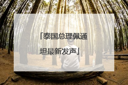 泰国总理佩通坦最新发声