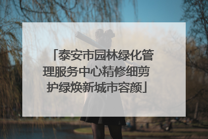 泰安市园林绿化管理服务中心精修细剪护绿焕新城市容颜