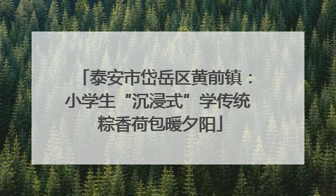 泰安市岱岳区黄前镇：小学生“沉浸式”学传统 粽香荷包暖夕阳
