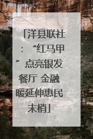 洋县联社：“红马甲”点亮银发餐厅 金融暖延伸惠民末梢