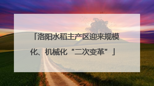 洛阳水稻主产区迎来规模化、机械化“二次变革”