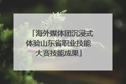 海外媒体团沉浸式体验山东省职业技能大赛技能成果