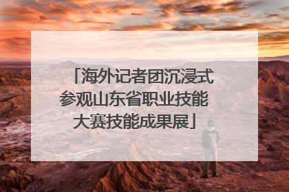 海外记者团沉浸式参观山东省职业技能大赛技能成果展