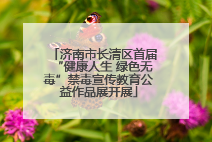 济南市长清区首届“健康人生 绿色无毒”禁毒宣传教育公益作品展开展